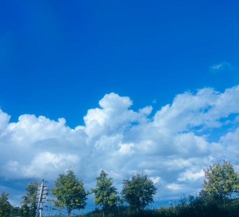 写メ